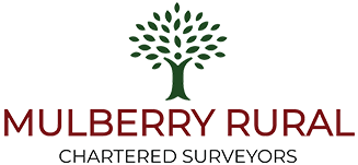 mulberry rural